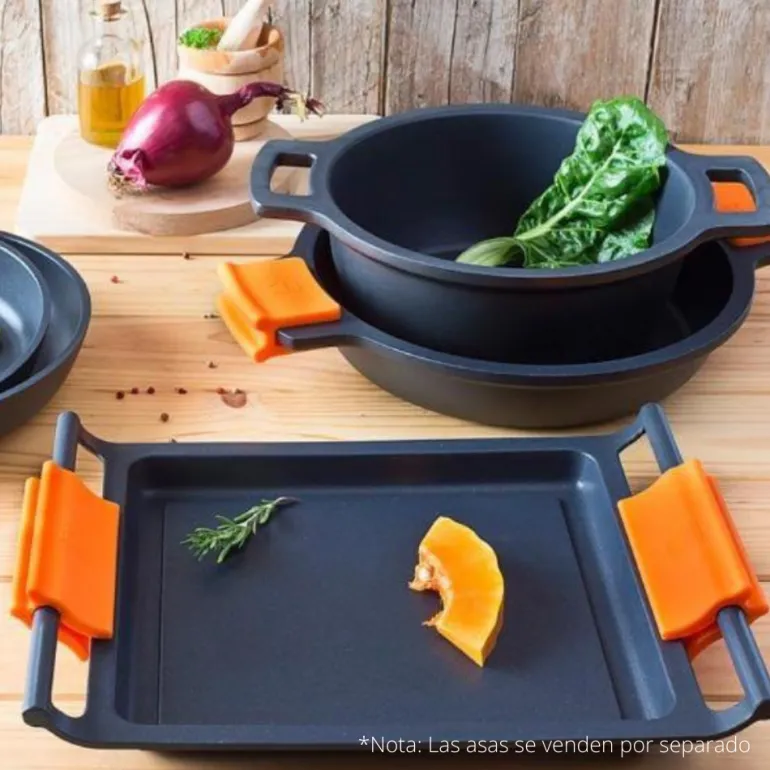 Plancha lisa Efficient