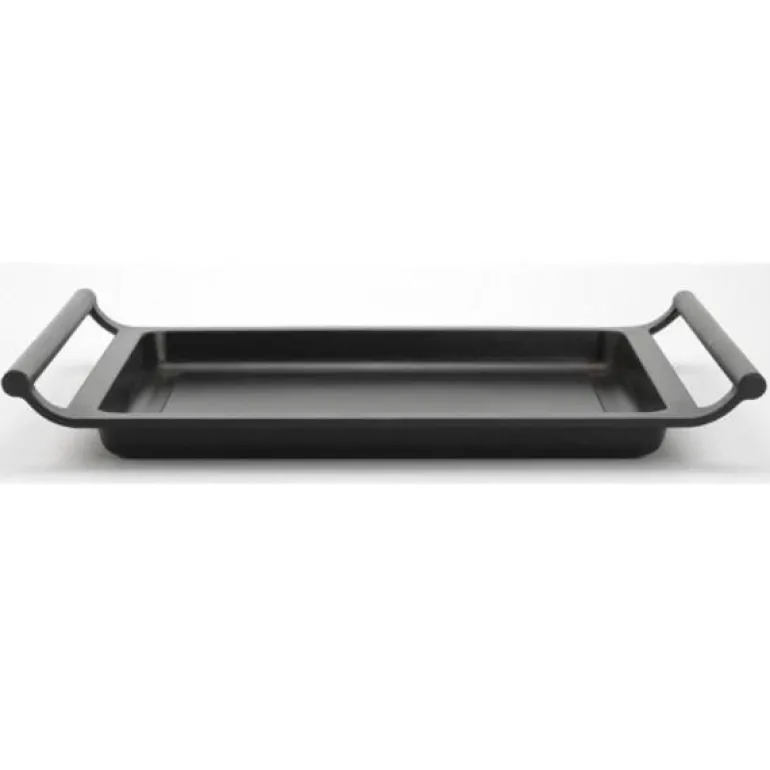 Plancha lisa Efficient